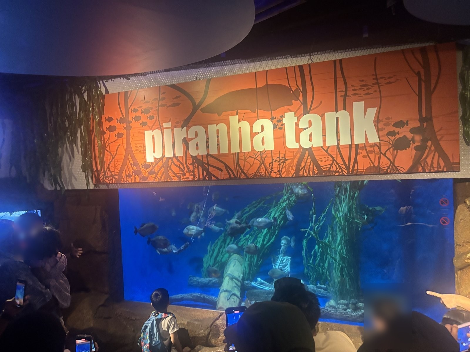 Aquaria KLCCのピラニア水槽と「piranha tank」の看板